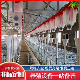 猪舍全套料塔料线设备 全自动养殖输送喂料系统 猪场养殖塞盘料线