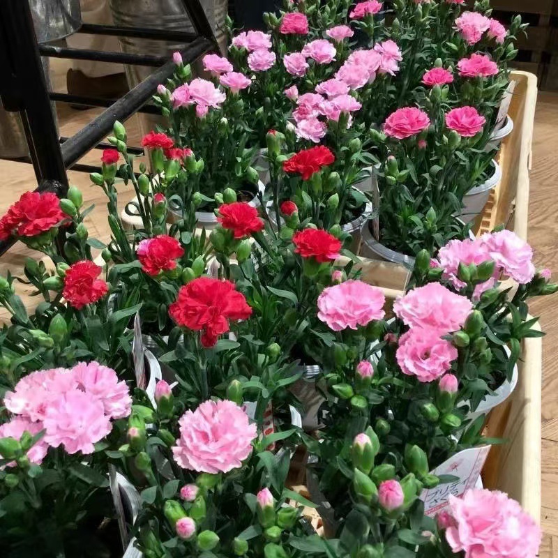 微信图片_20241031183800