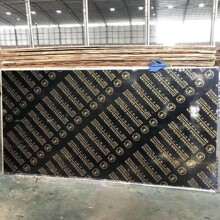 双面覆膜胶合板福建中南神箭批发镜面光滑平整无需抹灰周转次数多