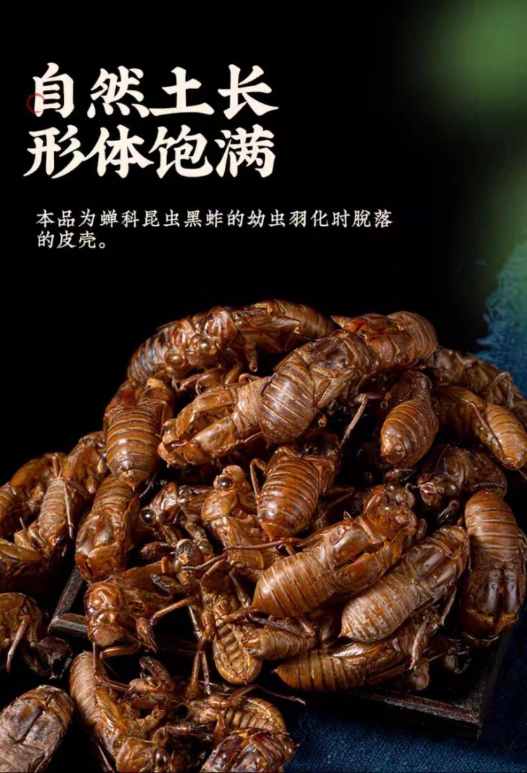 Chan Tui (Cryptotympana pustulata) — Wild-Harvested Dried Cicada Slough, 500g key features