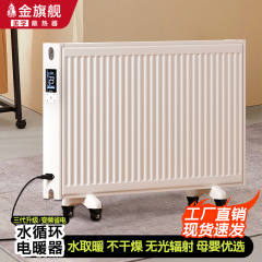 金旗舰电暖器家用新款注水取暖散热器片壁挂可移动跨境智能电暖器