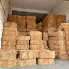 �F؛���lҬ�W�����G��CF�WҬ�ؾWҬ�z�WҬ�w�S�W���o�W