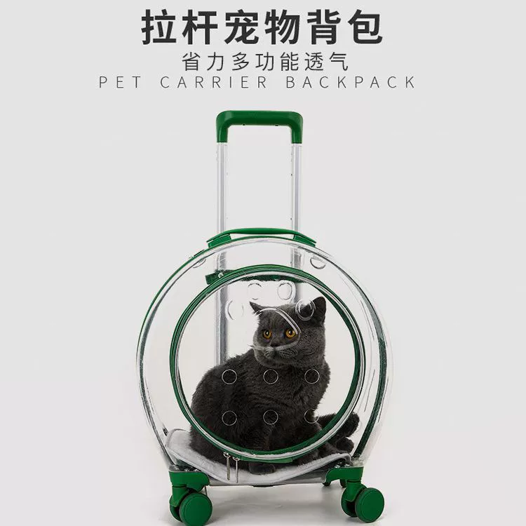 Acrylic pet carrier suitcase, handheld with telescopic handle and wheels, ventilated, waterproof