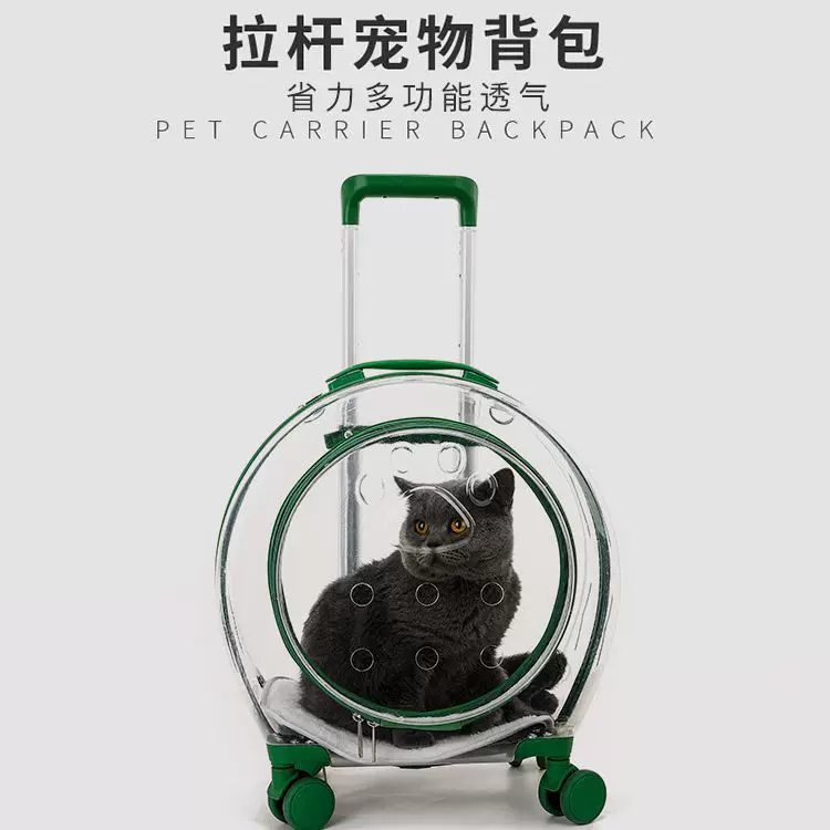 Acrylic pet carrier suitcase, handheld with telescopic handle and wheels, ventilated, waterproof