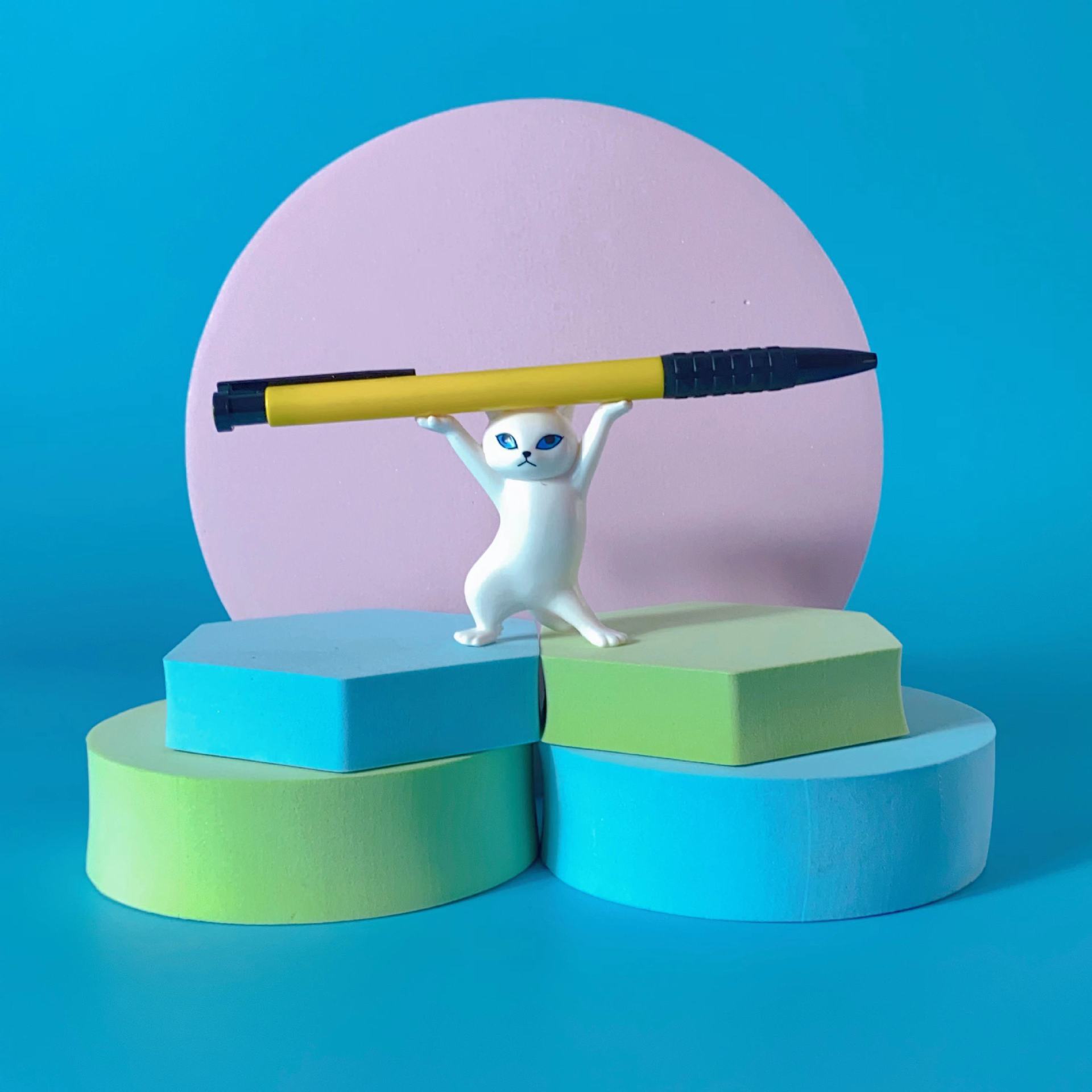 举笔猫5.jpg