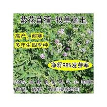 ϻޣݷNιiţuZļ~ݷN~ݷN