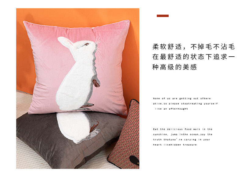 JY1122-125抱枕详情_03.jpg
