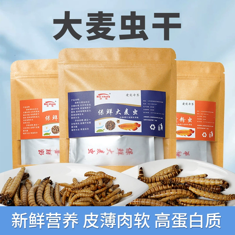 Сушеный ячменный червь золотой шелк хомяк рептилии корм хлебный червь сушеная черепаха