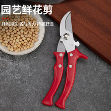 ���P䓈@����֦���h���r����֦���๦�ܻ�ˇ�P��ժ����ˇ���ü���
