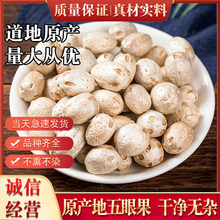 新货新鲜新款上市其他五眼果500g克包邮广南酸枣核散装好