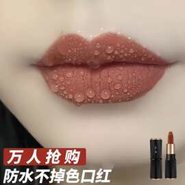 爆款一妆一物双肽淡纹不沾杯口红不掉色防水持久哑光跨境美妆