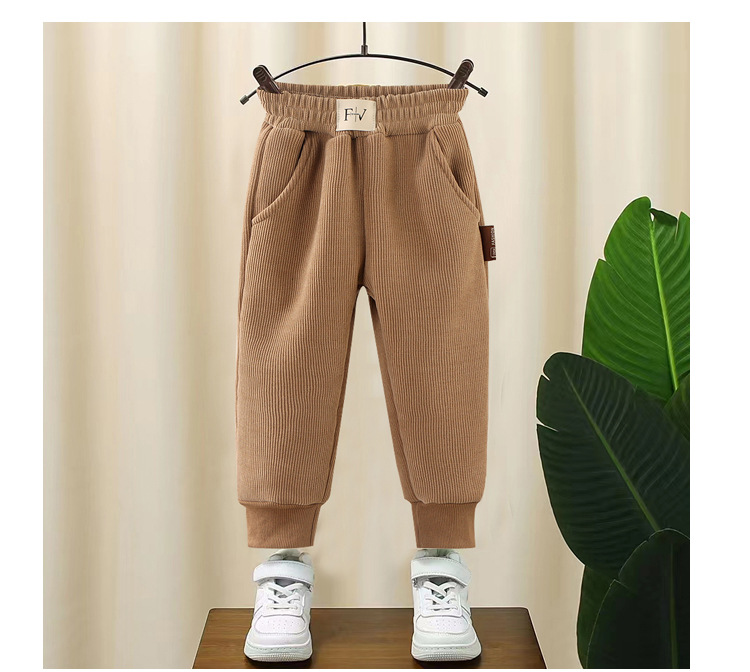 Casual Solid Color Polyester Boys Pants display picture 1