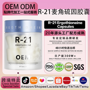 OEM�߼�L����������R21Ӳ�z�Ҳ�����ˮ���zԭ���ן�����&alpha;�����\