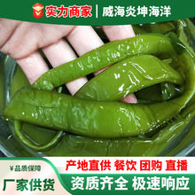 找小胖新鲜海白菜盐渍裙带梗裙带菜梗段火锅串串餐饮食材商用批发