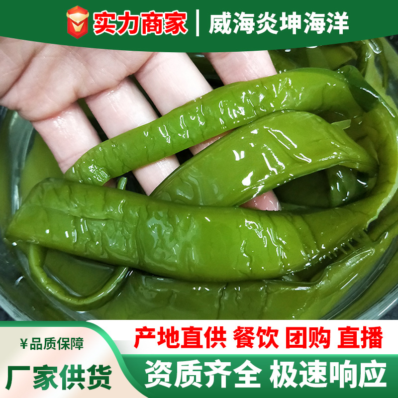 找小胖新鲜海白菜盐渍裙带梗裙带菜梗段火锅串串餐饮食材商用批发