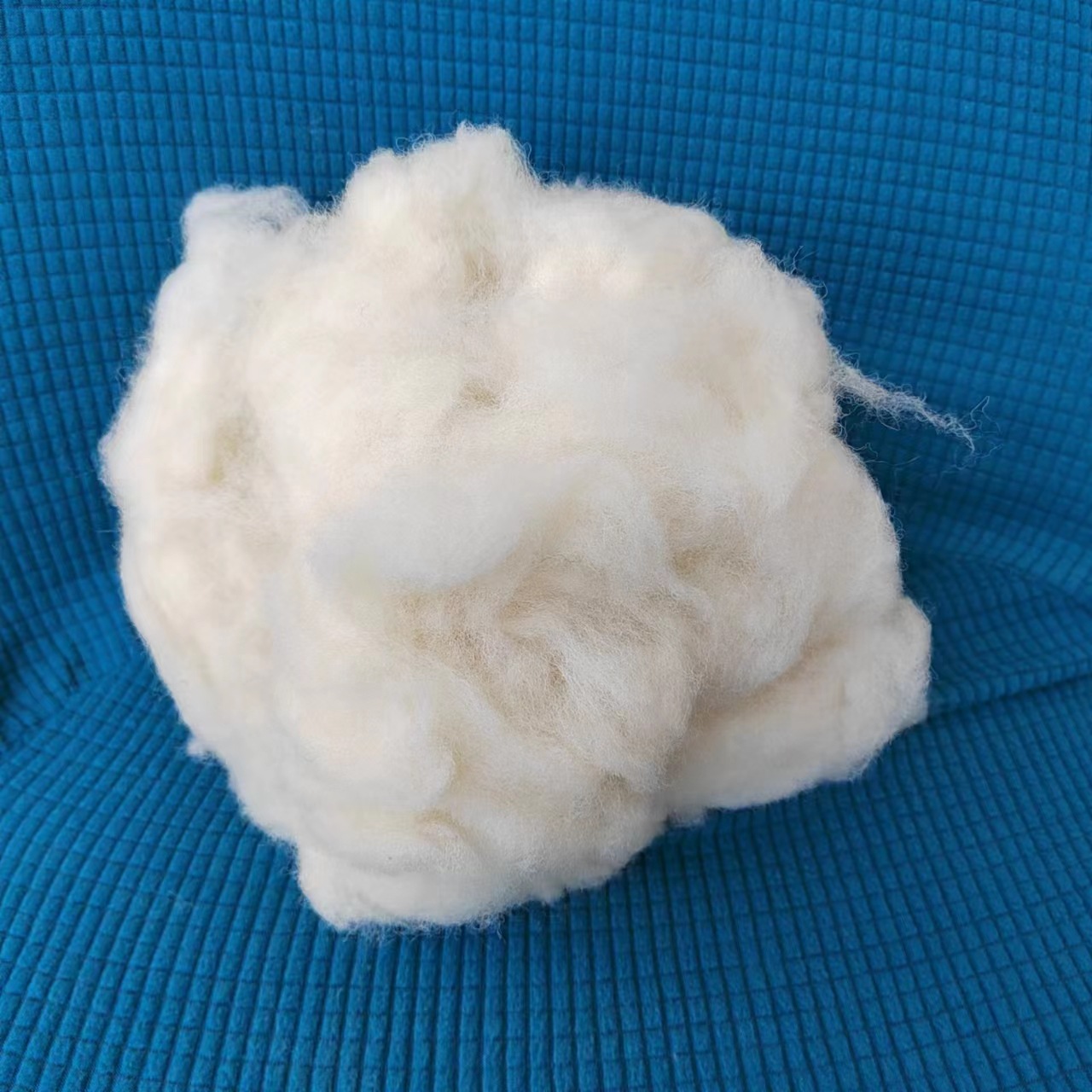 f49b23cf65822d31269906defcd216