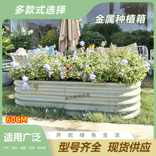 60CM��\����ٷNֲ���@�ֻ��@¶�I���ٲ˴��N�˴��Nֲ�仨�@���l