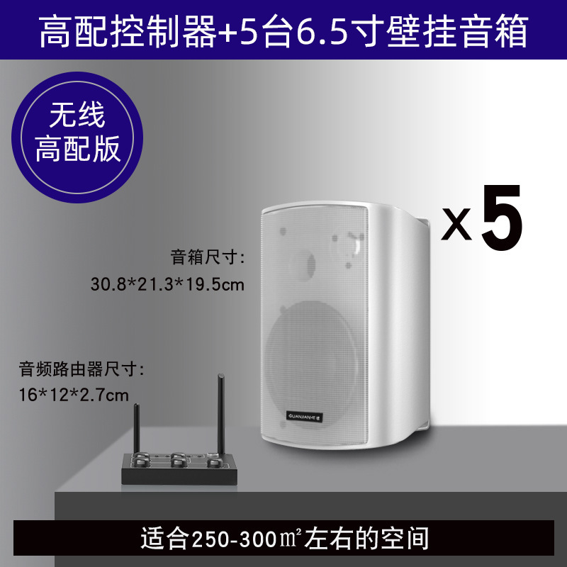 壁挂无线音响店铺舞蹈教室餐厅健身房会议室商用音箱组合套装|undefined