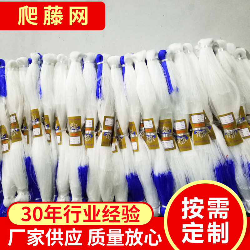 黄瓜 丝瓜 苦瓜 山药各种植物爬藤网 植物攀爬网 芹菜网厂家批发