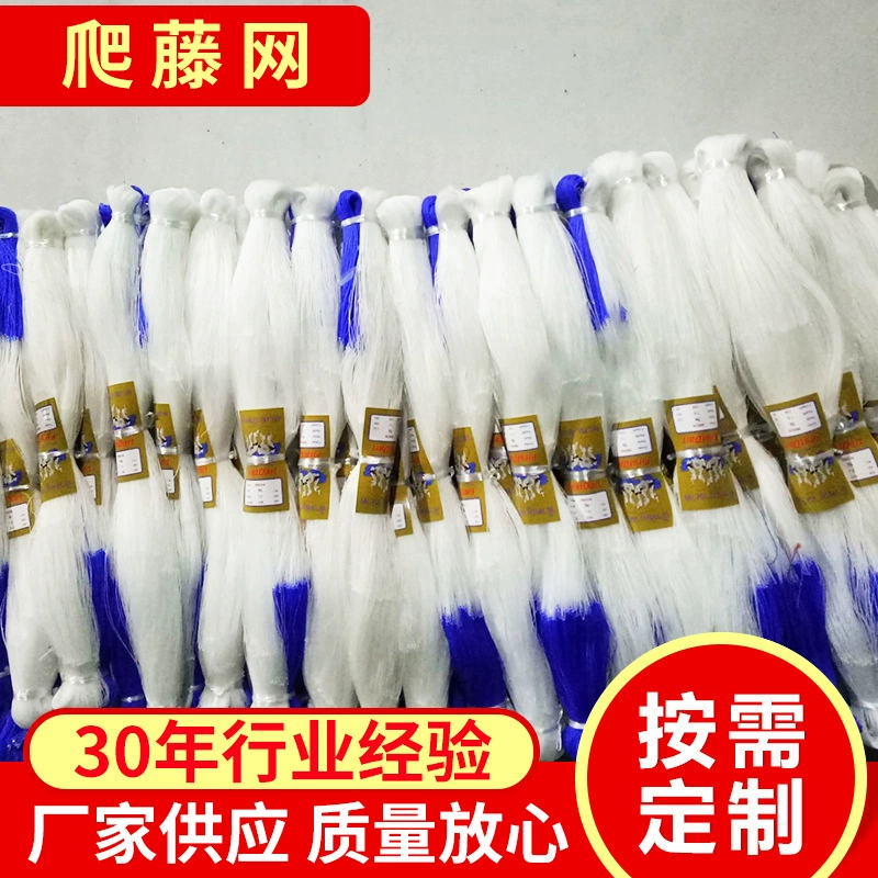 Огурец Полотенце Тыква бальзам Груша Ям различные растения вьющаяся лоза чистая растение вьющаяся сельдерей Чистая оптовая продажа с фабрики