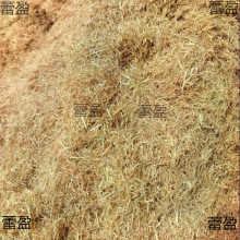 �ɵ����w�Sˮ���ն��Ž��B�۠��b��鵾�ݾG�������ൾ������]�r