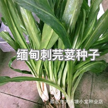 �����ܾݴ��˷N�����ɽҰ������߲��ļ��N�Ѿ������ܾݴҰ��