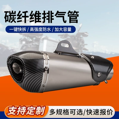 Motorcycle exhaust pipe | S1/S4 Alpha Neutral Motorcycle