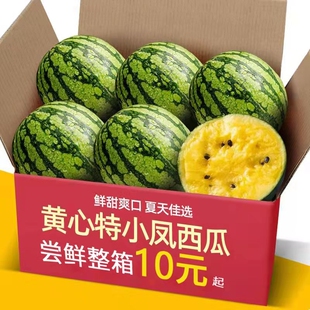 西瓜摆件