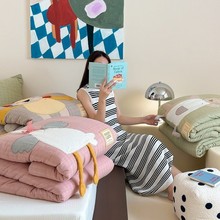 韩国A类可机洗全棉抗菌春秋被卡通四季被子被芯冬被纯棉双层纱ins