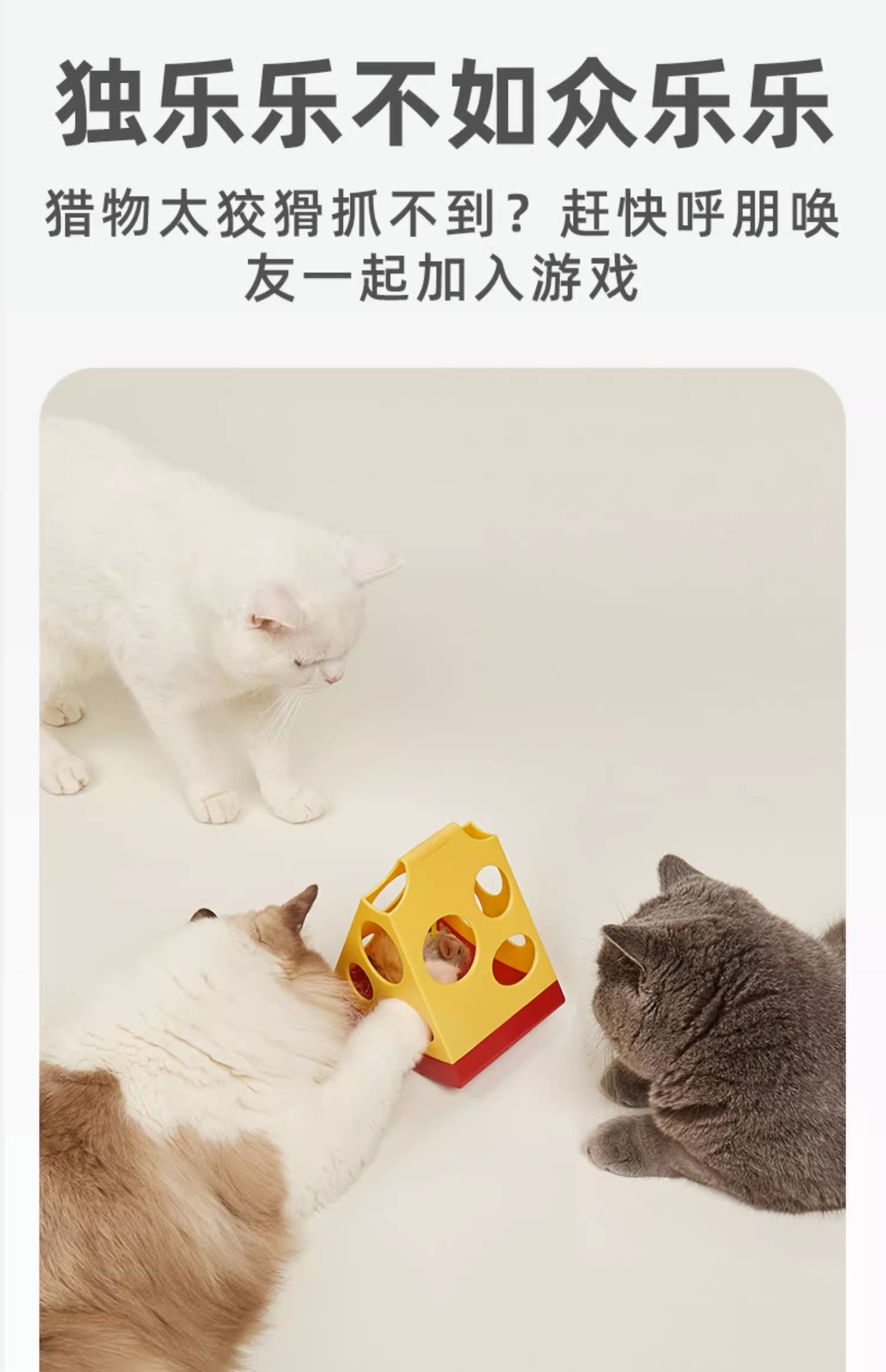 两只福狸fofos电动猫玩具魔盒魔方魔球魔力芝芝打地鼠羽毛猫玩具-阿里巴巴