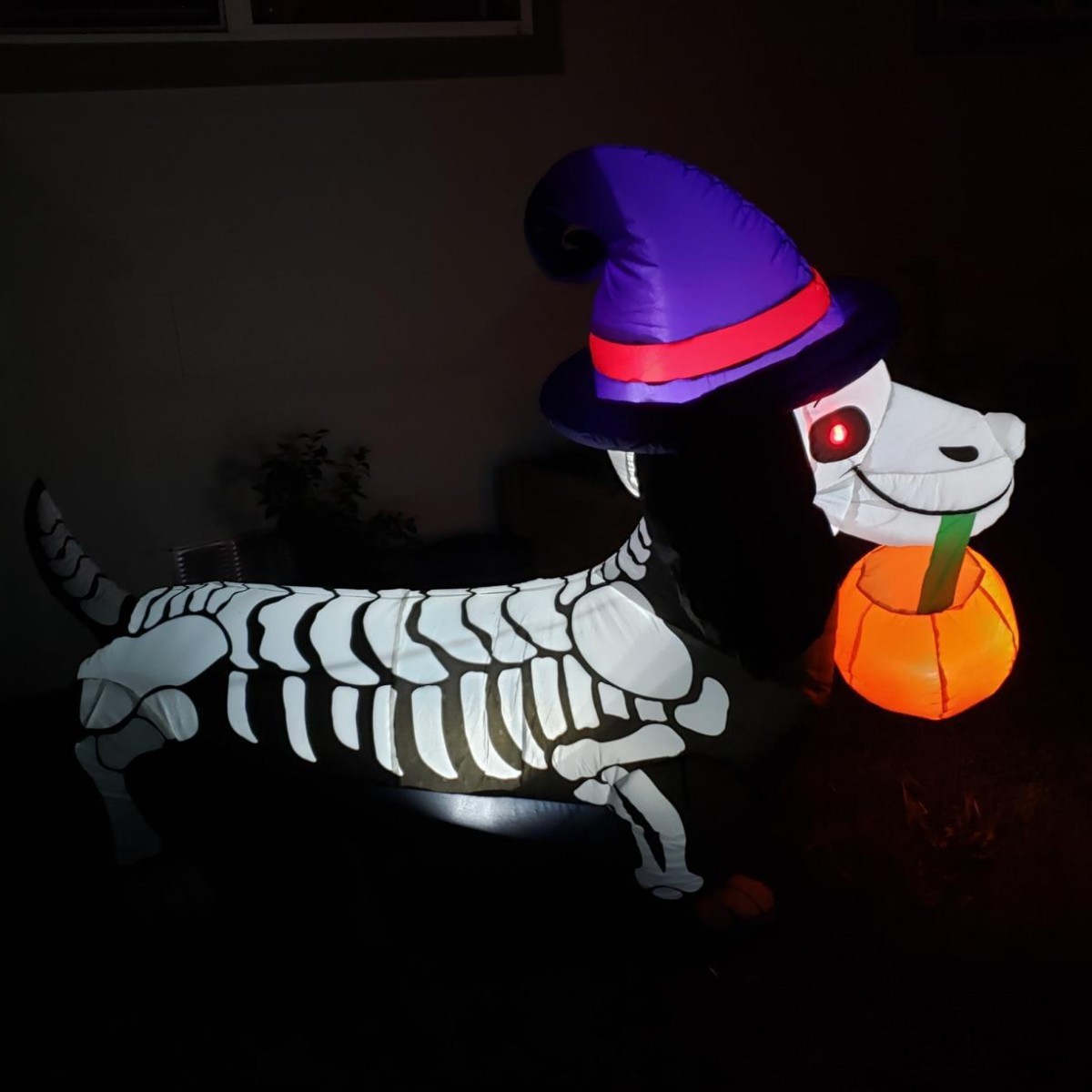 1,5 m de alto esqueleto de Halloween perro Wiener incorporado luz LED inflable modelo Halloween patio escena decoraciones