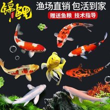 �\���~���~��ˮ��ˮ�~���^�p�~���~���~С�ͺ��B�ͻ�NС�\���~