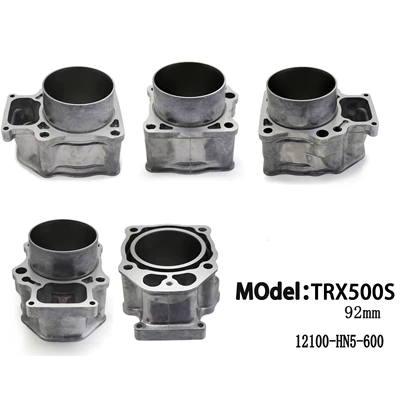 Cylinder and parts (Foreman 500 S Model)
