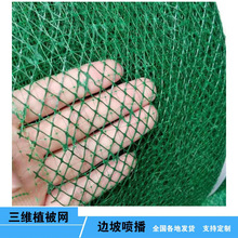 ���Sֱ�����S�����W�|ֲ���W�G���o�¹����W�|NSS�W���B�W��