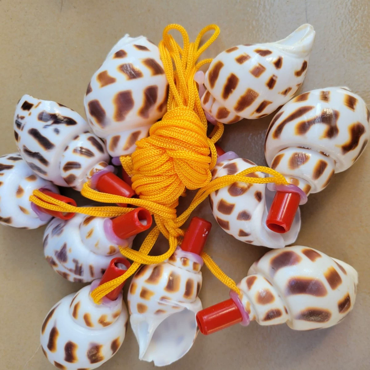 Wholesale various conch whistles blowing conches