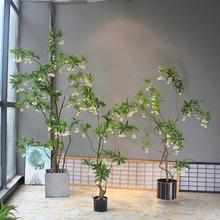 綠植物水石榕酒店名宿大客廳店鋪茶室櫥窗落地花藝裝飾樹