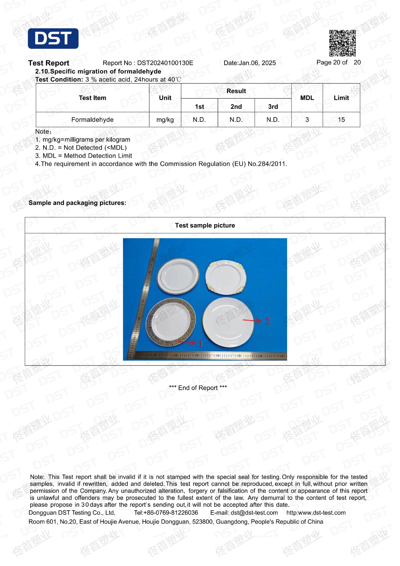 盘子 FCM  DST20250100130E(1)_19