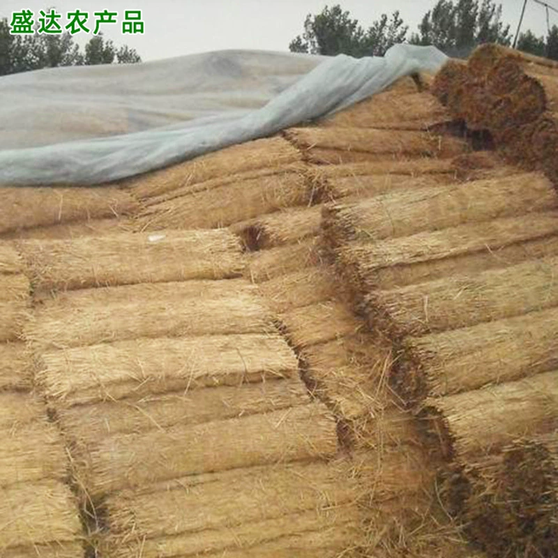 Логистика для хранения и сохранения тепла для транспортировки фруктов и овощей