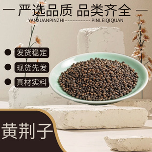 �S�G�� ĵ�G���S���Ӳ��G����ș���S�G�� ���]����۸��N�䱳
