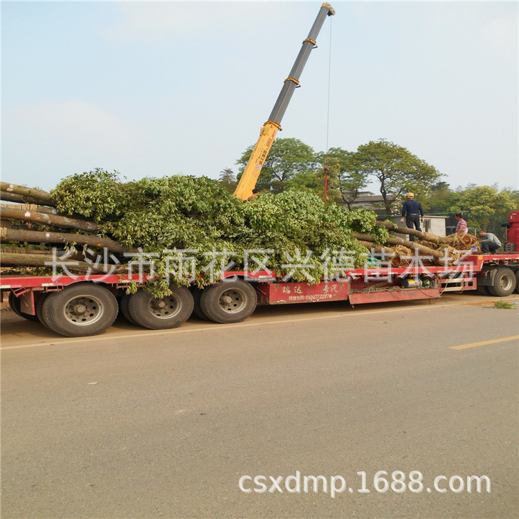 111111111111111111111111111111