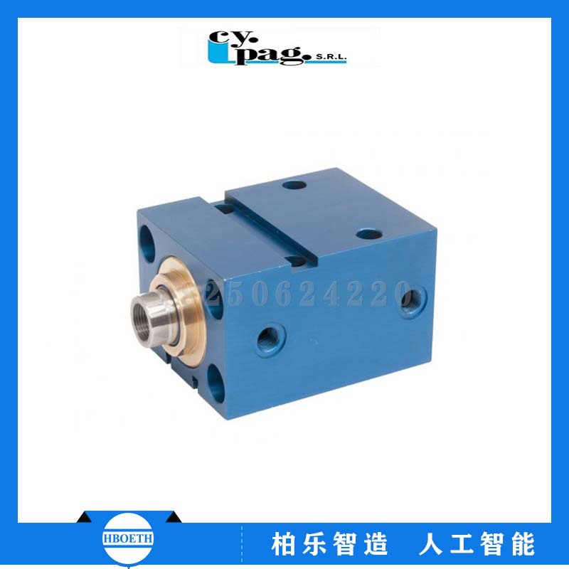 西派格Cy.Pag.S.r.l. 液压缸 HL柱型 拉杆油缸 CDEMP100/50KNM