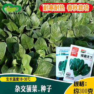 īؐ536���˷N�� �r��ˈ@�s���������ͳ�̦�~��G�ʺ��ﲤ����