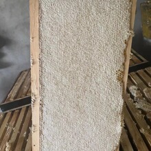 整张新巢蜜 整张荆条蜜 整张百花蜜 荆条巢蜜 百花巢蜜 蜂场直发