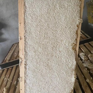 �����³��� �����G�l�� �����ٻ��� �G�l���� �ٻ����� ���ֱ�l