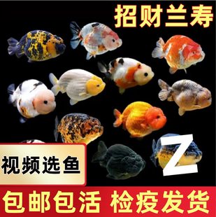 �m�۽��~��ˮ�^�p�~��̩�{���~��ˮ���B�ͻ�С���~��ţ��ؔ�����~