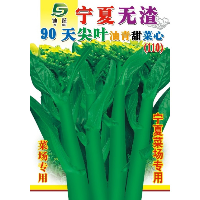 菜心种子宁夏无渣90天尖叶油青甜菜心种籽青菜春秋四季播农家四九