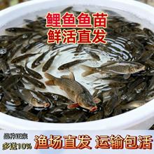 ��Ʒ�N���~�罨���S���~��������ˮ�Bֳ���~���N�����a�~�����