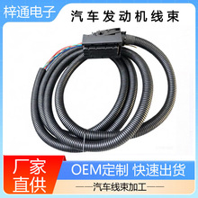 汽车线束J2发动机线束北京福田康明斯德尔福13964573汽车配件线束