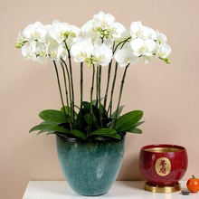 ����ʽ�����m���蹝�շՇ��b廨Ͱ������滨����Ͱ�@ˇ�Gֲ��