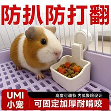 荷兰猪食盆umi兔子食盆防扒固定食盒豚鼠龙猫专用喂食器批发用